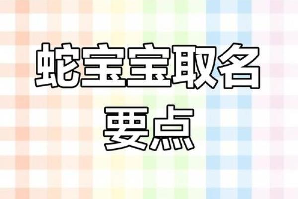 蛇生肖起名技巧：创意无限的名字灵感库