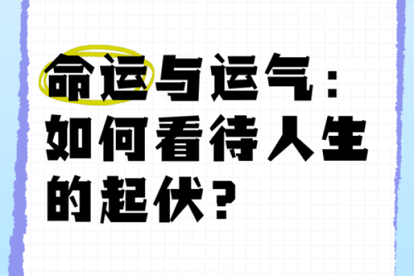 看穿人生起伏：持证命理师教你掌握命运脉搏！