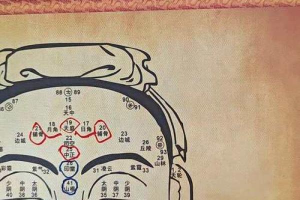 株洲算命大师亲授：如何通过面相看财运，让你财运亨通！