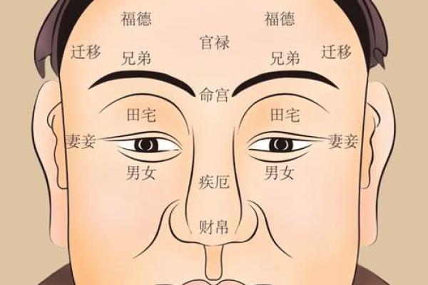 株洲算命大师亲授：如何通过面相看财运，让你财运亨通！