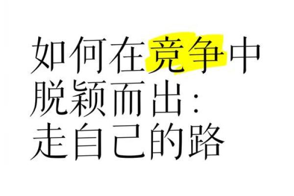 探索郑坤的成功秘诀：如何在竞争中脱颖而出