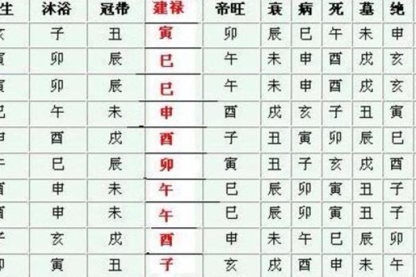 独家揭秘：地支库马背后的秘密