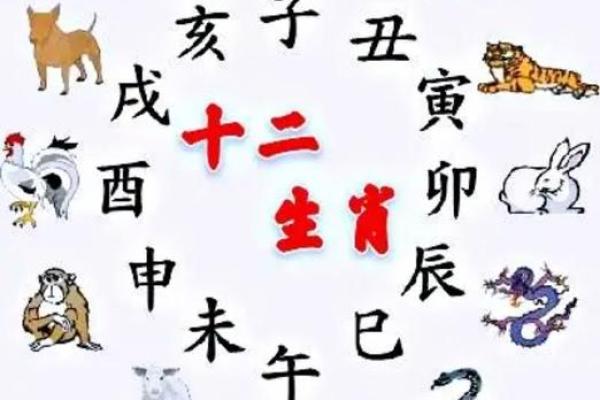 水韵深藏，地支之谜
