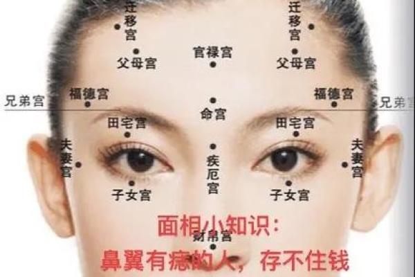 曹颖面相解析：鼻子痣的独特含义与运势影响