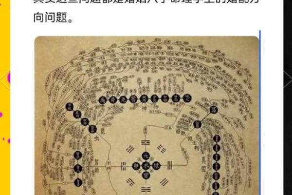 神准免费八字命理测算，快来一探究竟！