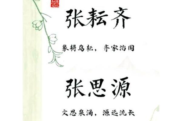 张姓改名的艺术与智慧