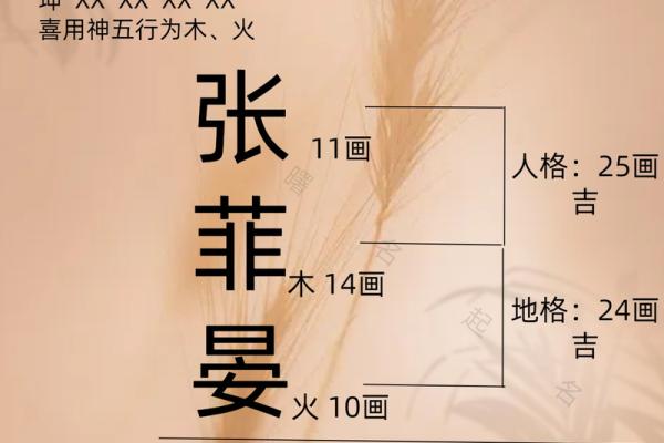 张姓改名的艺术与智慧
