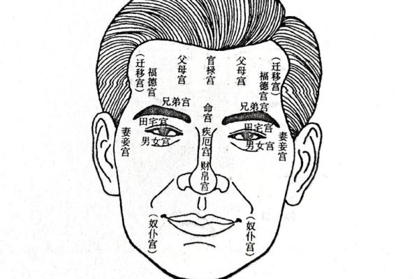 眉形深陷的面相解读：命运起伏与性格特点的微妙关系