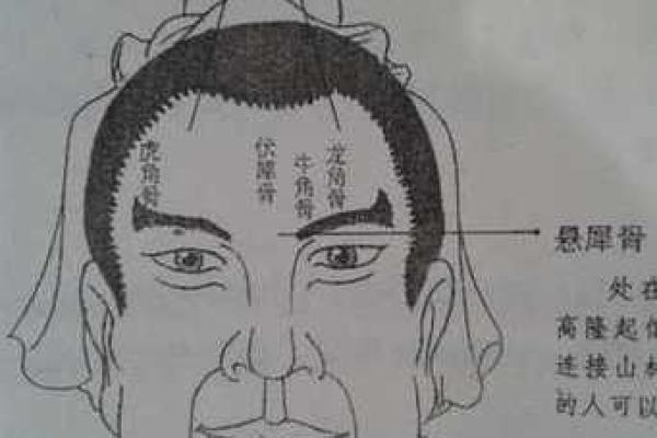 天成骨面相揭秘：命运与骨骼的神秘联系