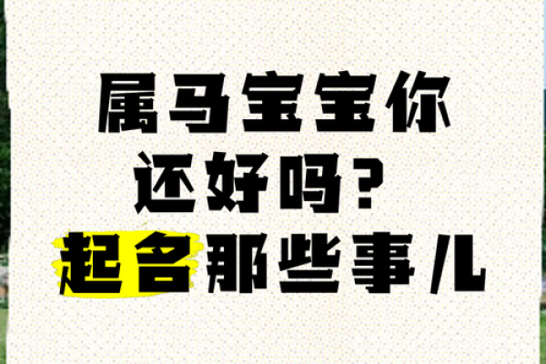 马宝宝起名灵感集锦