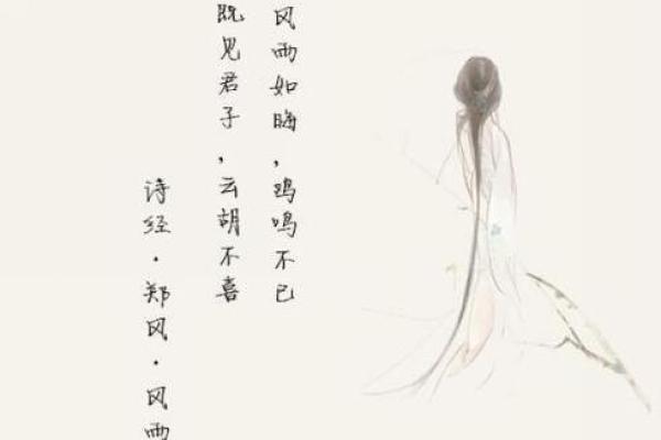 鸡年翩翩女宝宝，诗经古韵美名扬