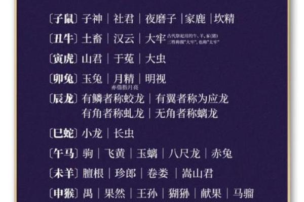 十二地支大揭秘：揭秘生肖背后的神秘符号
