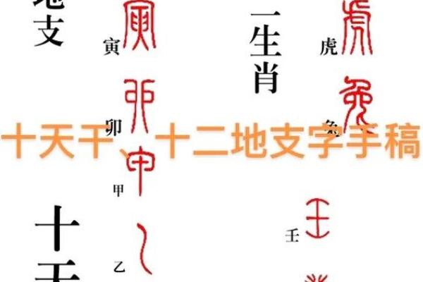 解锁十二生肖秘密：地支之谜