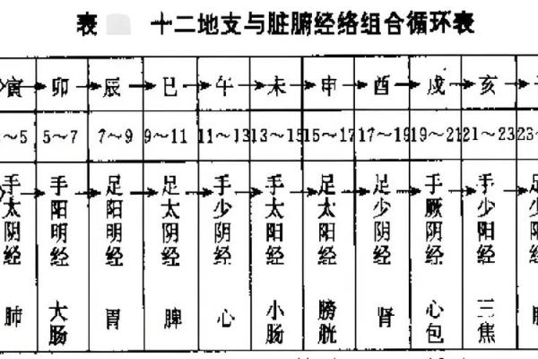 从地支看历史：解码中国古代的文化符号