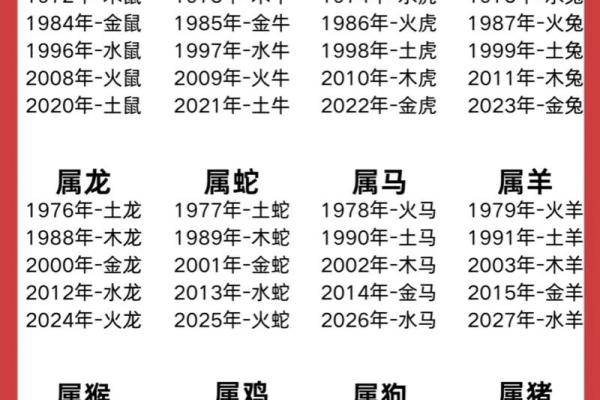 鼠属五行揭秘：了解鼠的五行属性