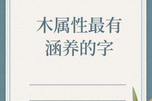 贤字五行属什么？解析其背后的五行属性