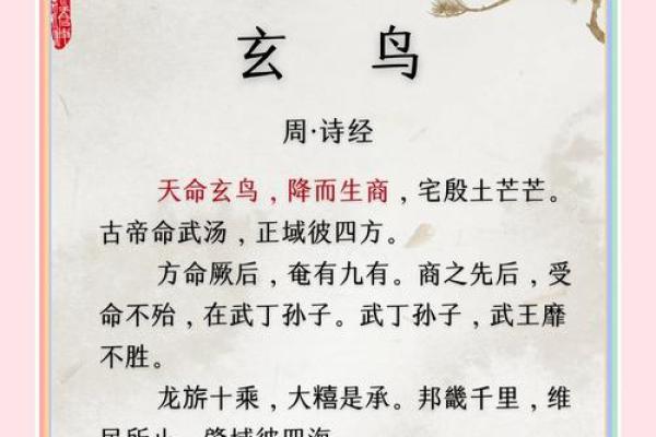 玄姓的起源与文化传承探讨