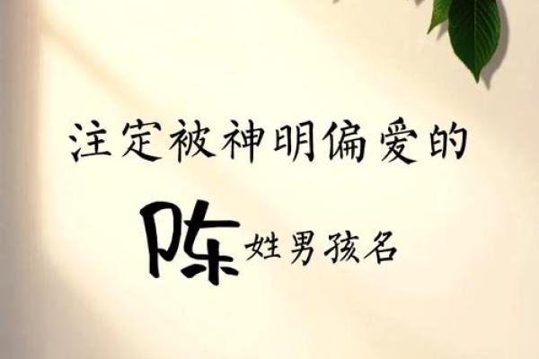 沛佟：寓意丰富，彰显宝宝独特魅力
