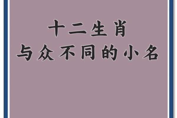 名字魅力揭秘：属鼠名字的创意灵感