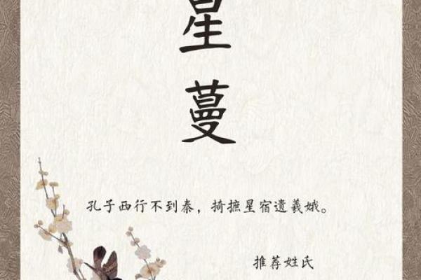 星姓的起源与星字名字大全解析