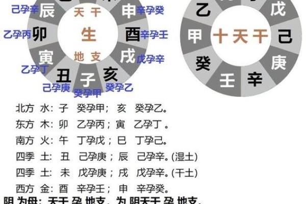 水中宝藏：揭秘地支水生肖的独特魅力