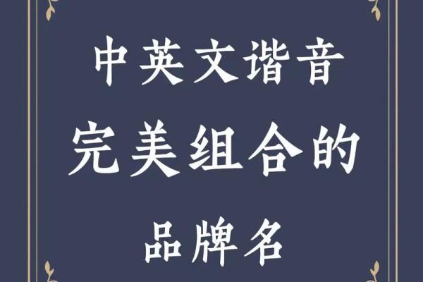 如何为公司仓库选择一个既专业又有创意的英文名字