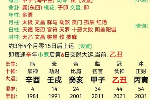 2024正官地支运势解析，揭秘你的财富密码