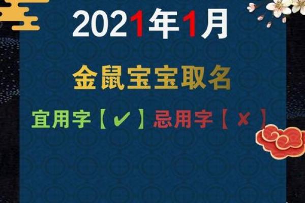 鼠宝宝取名巧思