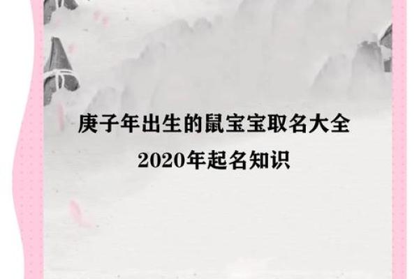 鼠宝宝取名巧思