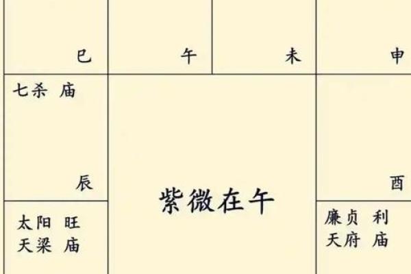 天机揭秘：11命理大揭秘，揭秘你的命运密码！