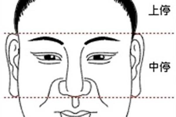 面相揭秘：地格运势决定人生走向