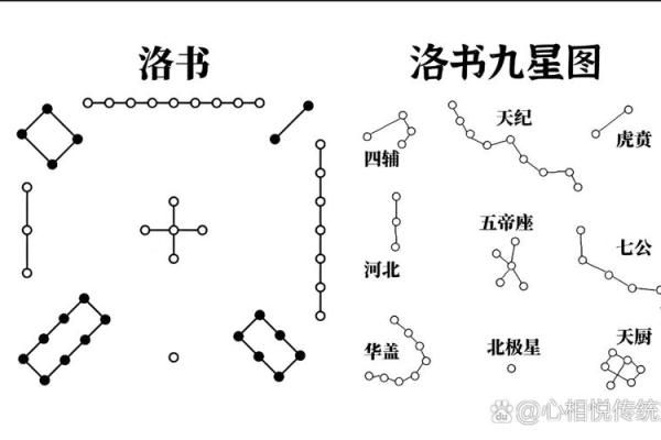 感受地支魅力，河图数背后的神奇力量
