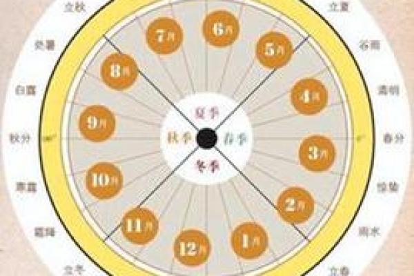 感受地支魅力，河图数背后的神奇力量