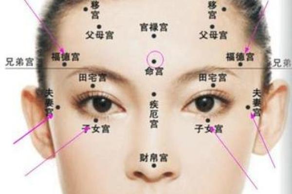 面相解析：地库藏金，财运亨通的秘密面相特征