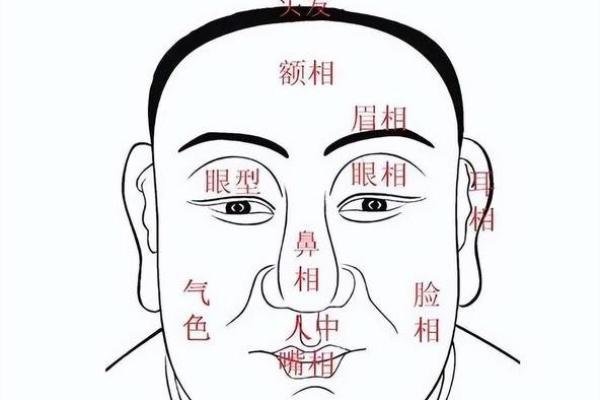 面相解析：地库藏金，财运亨通的秘密面相特征