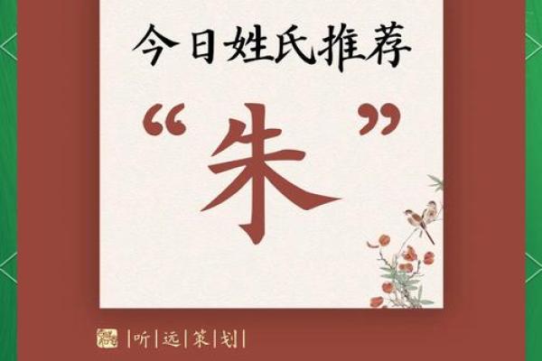 朱男宝宝：创意取名，彰显个性魅力