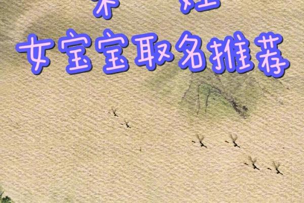 朱男宝宝：创意取名，彰显个性魅力