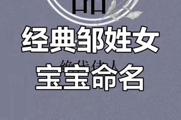 邹氏宝宝名字精选