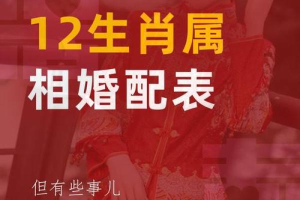红色预警合婚地支相冲，揭秘影响婚姻的神秘力量