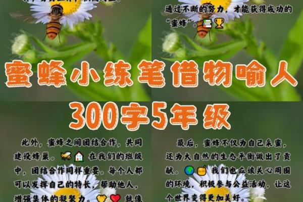 如何为你的蜂场取一个独特且有吸引力的名字
