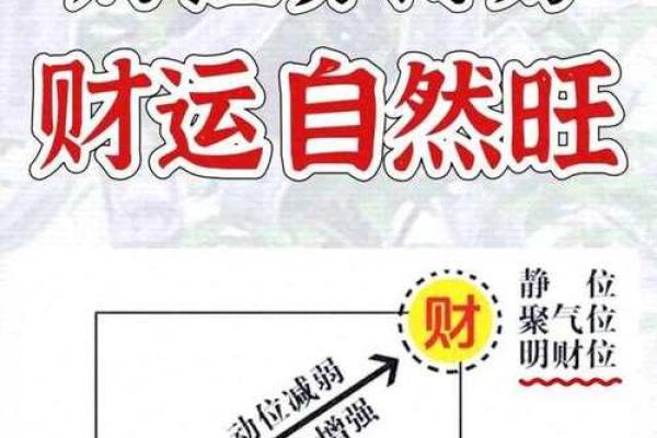 家居风水必备：植物风水布局，让你的家财源滚滚、邪气全消
