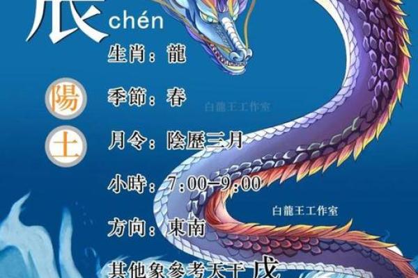 未到巅峰，探寻地支的秘密力量