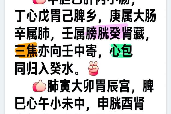 地支传奇：探寻有夫的奥秘