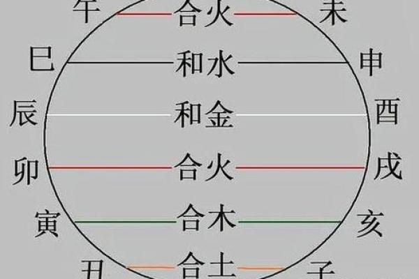 地支传奇：探寻有夫的奥秘