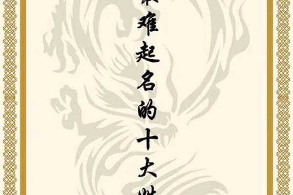 狗宝宝起名灵感：温馨犬语