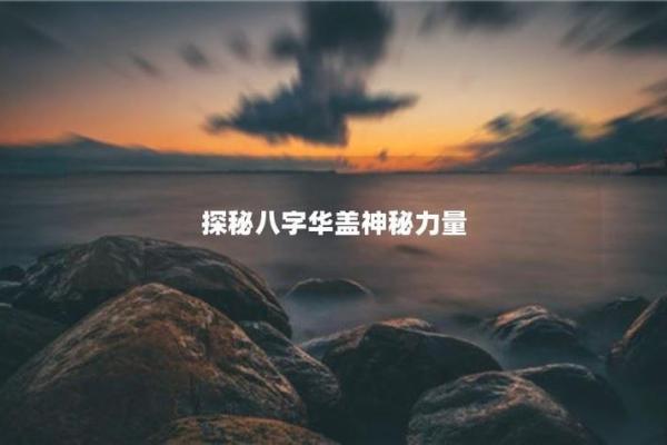 天机密语：揭秘官杀地支的神秘力量