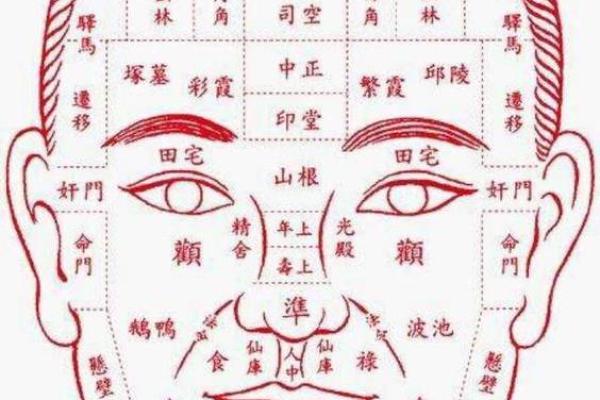 面相揭秘：鼻头长红点，财运亨通运势旺