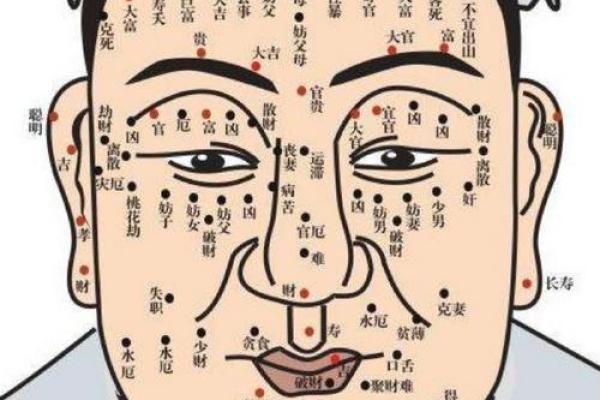 面相揭秘：上凹下凸的神秘寓意
