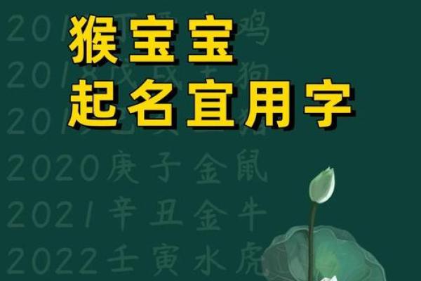 欢喜猴宝宝：向姓取名创意无限