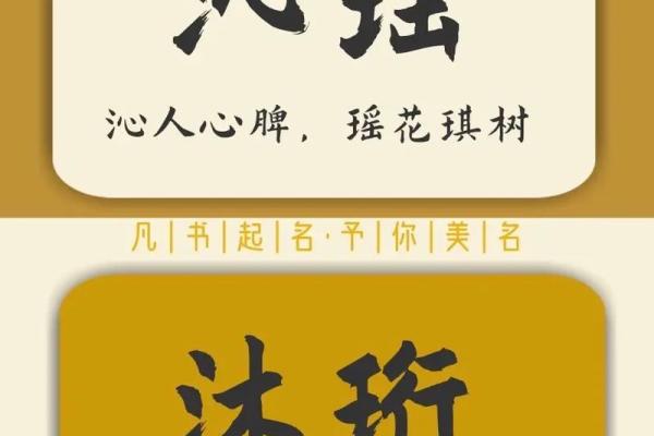 探索沁字在名字中的独特寓意与象征